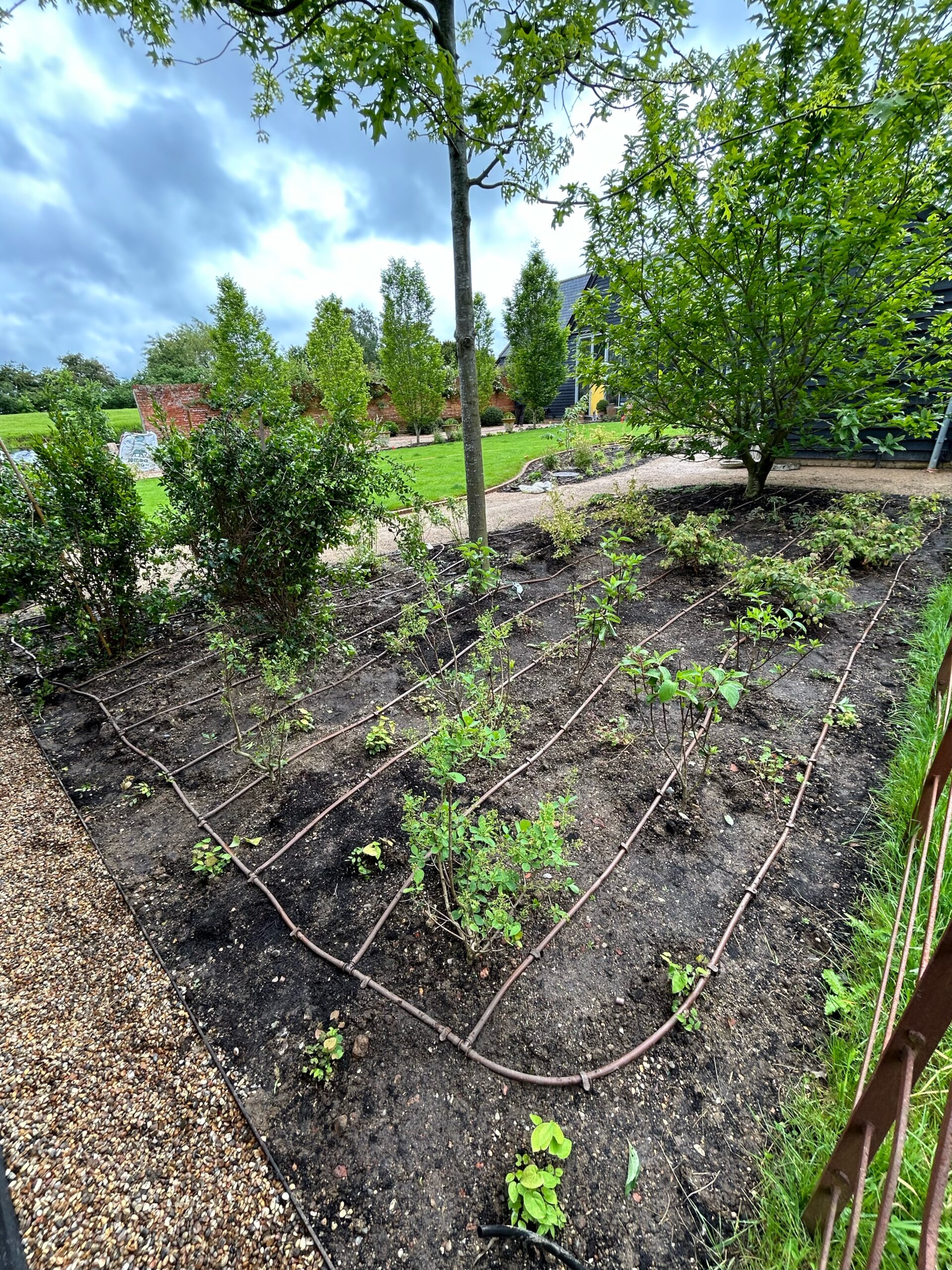 The efficiency of drip irrigation beats all other methods of watering plants - plants will be thriving in this bed with Rosewood Irrigation dripline installed