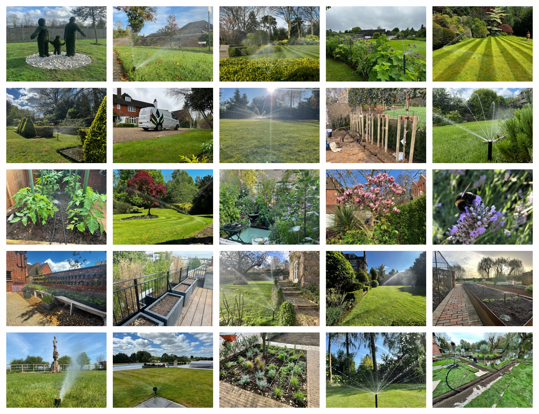 Photos of Rosewood's best garden irrigation jobs of 2024